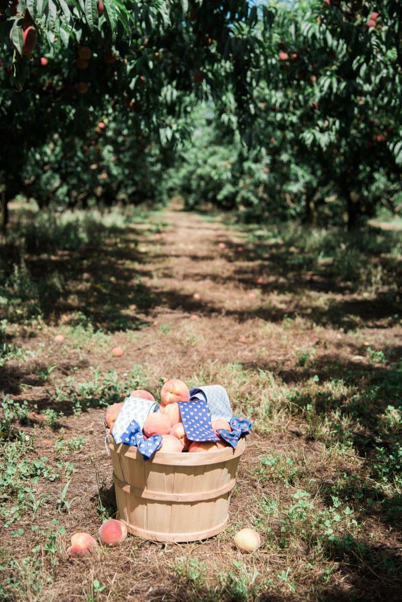 Southern Proper Neckwear Featuring Georgia Ag